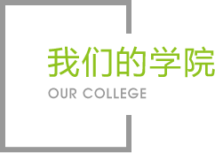 PA视讯集团